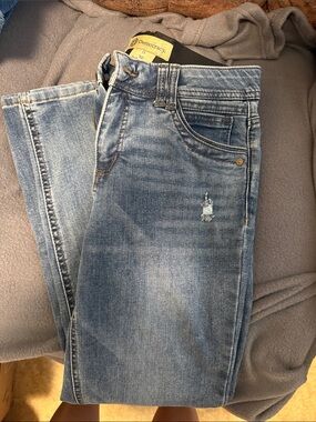 Democracy Faded Blue Distressed Skinny Jeans
